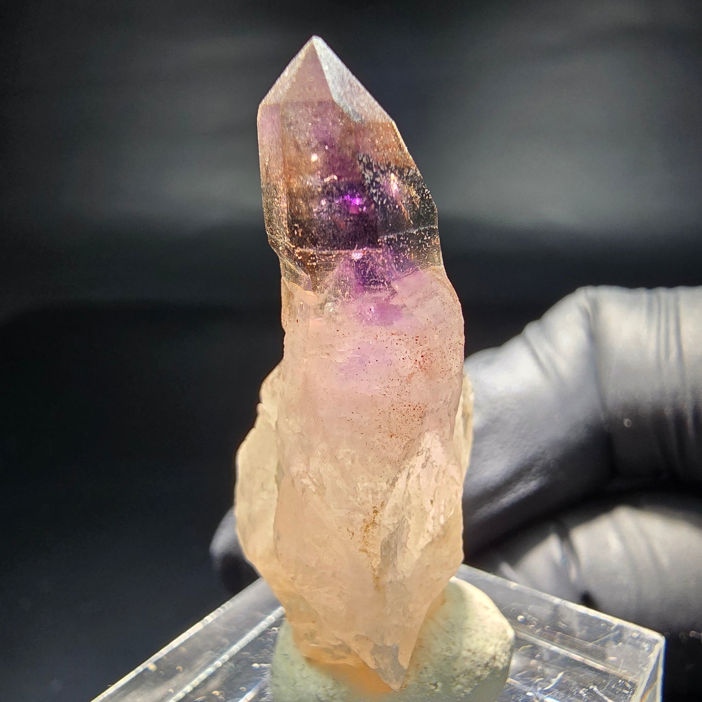 Seltene Phantom Zepter Amethyst Spitze lila braun Goboboseb, Namibia 39*17*15mm