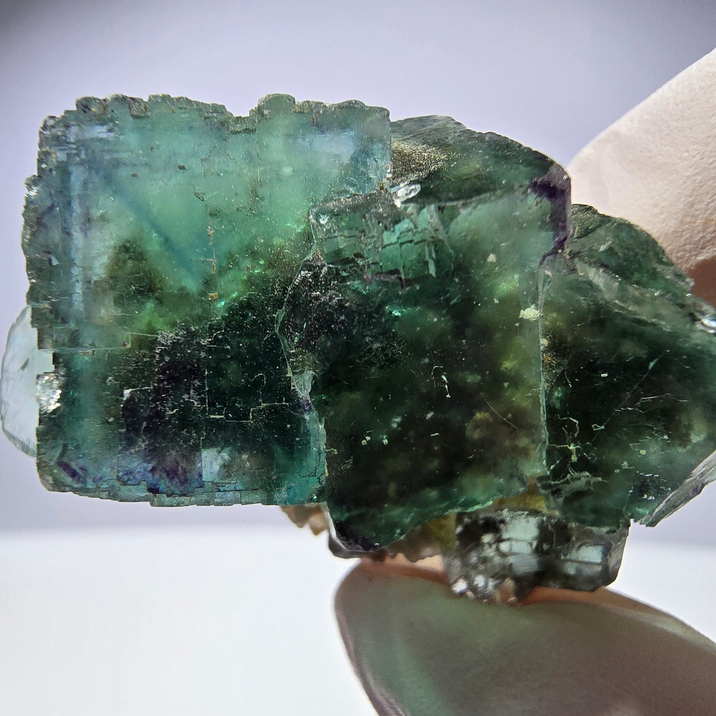Rare spécimen de cube de fluorite fantôme, parqueté vert Okorusu, Namibie, 42 x 30 x 18 mm