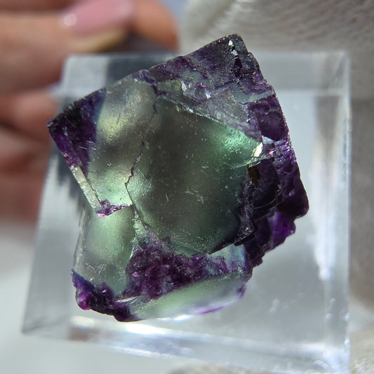 Rare spécimen de cube de fluorite fantôme, vert-violet zonal, Okorusu, Namibie, 19 x 19 x 12 mm