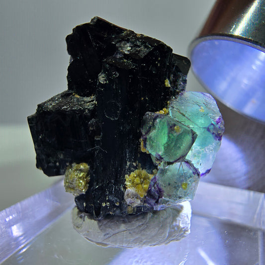 Spécimen de cube de fluorite fantôme zonal, de muscovite et de tourmaline Schorl, Erongo, Namibie, 20 x 19 x 13 mm