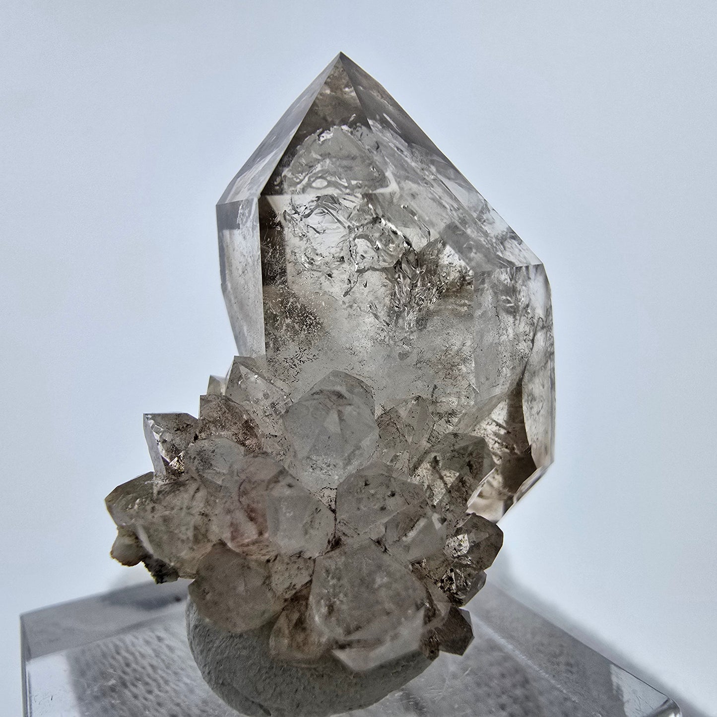 Phantom Rauchquarz DT Zepter Stufe Goboboseb, Namibia 31*27*24mm