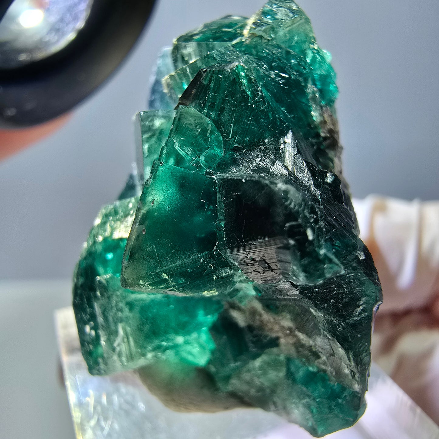 Spécimen de cube de fluorite fantôme, parquet vert Okorusu, Namibie 37 x 29 x 20 mm