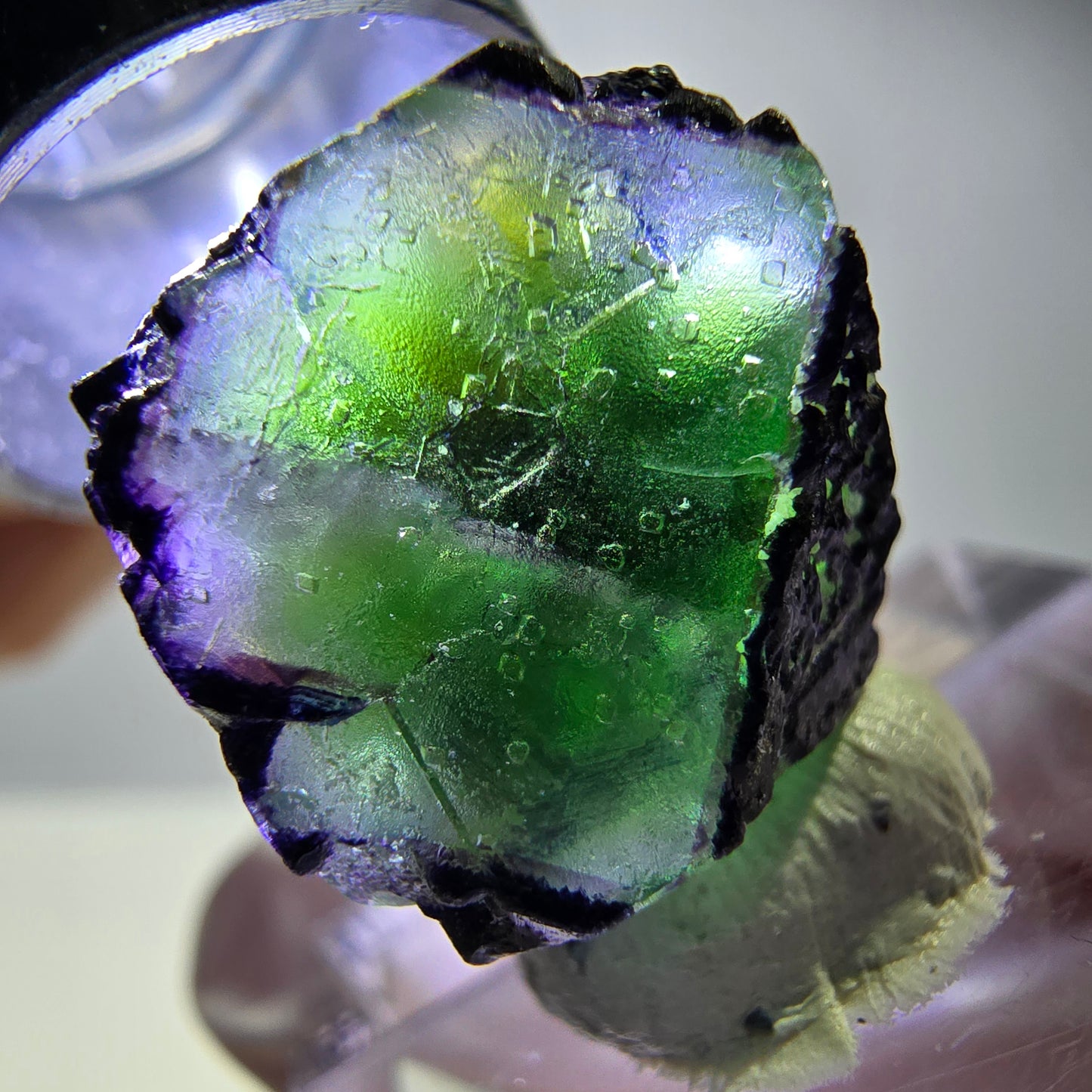 Cube de fluorite fantôme, zonal, muscovite, tourmaline Schorl, Erongo, Namibie, 17 x 14 x 12 mm