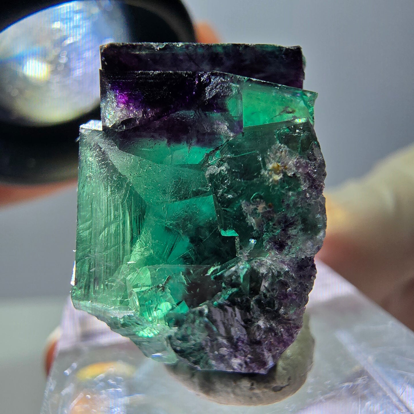 Phantom Fluorit Würfel Stufe, parkettiert grün lila Okorusu, Namibia 23*23*15mm