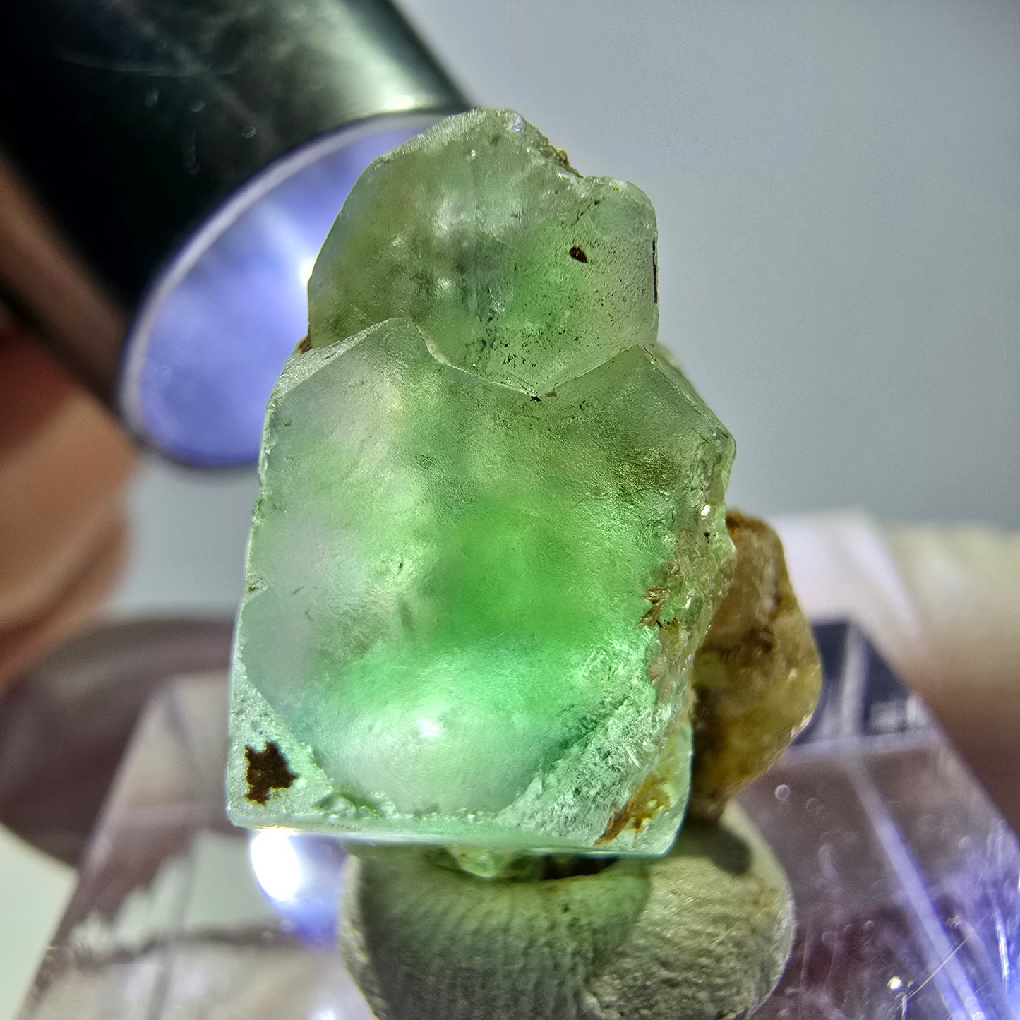 Cube de fluorite fantôme, spécimen de muscovite, Erongo, Namibie, 20 x 16 x 14 mm