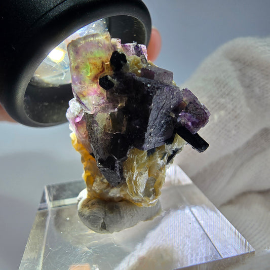 Spécimen de fluorite fantôme colorée, tourmaline scholle, muscovite, Erongo, Namibie, 25 x 22 x 14 mm