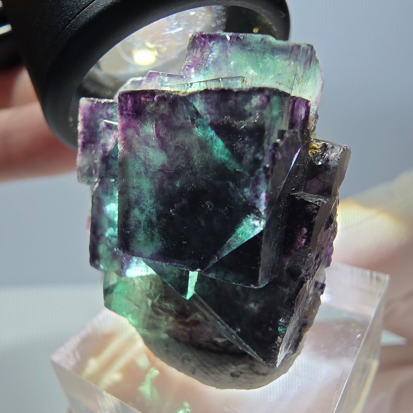 Phantom Fluorit Würfel Stufe, parkettiert grün lila Okorusu, Namibia 29*28*16mm