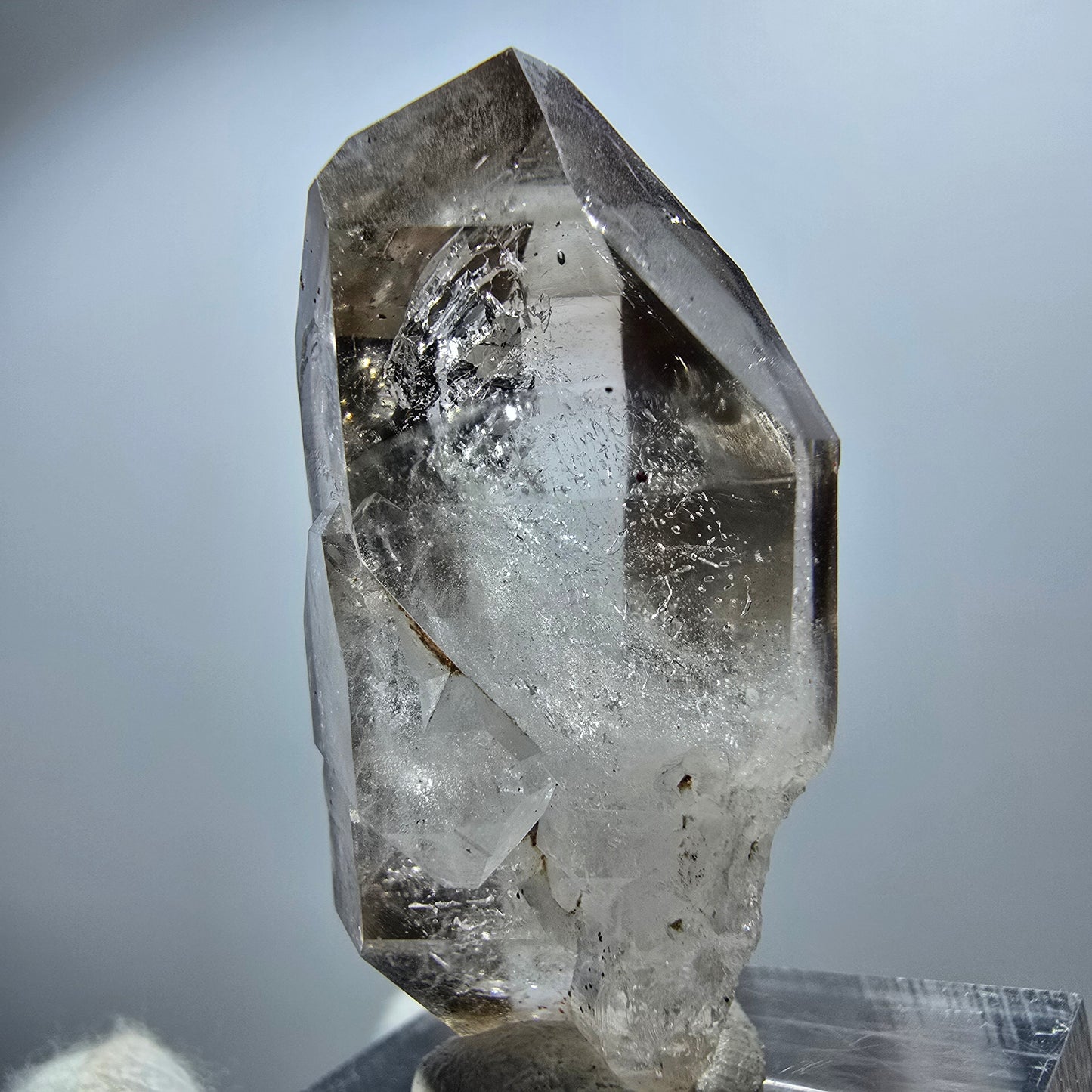 Sceptre en quartz fumé fantôme transparent, DT Point Goboboseb, Namibie, 39 x 17 x 14 mm