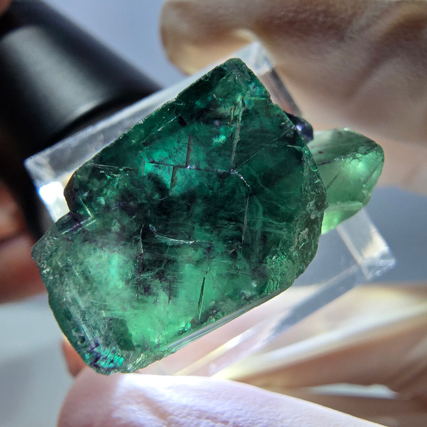 Spécimen de cube de fluorite fantôme, parqueté vert violet Okorusu, Namibie 29*18*14 mm