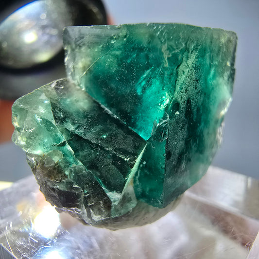 Seltene Phantom Fluorit Würfel Stufe, grün Okorusu, Namibia 23*19*15mm