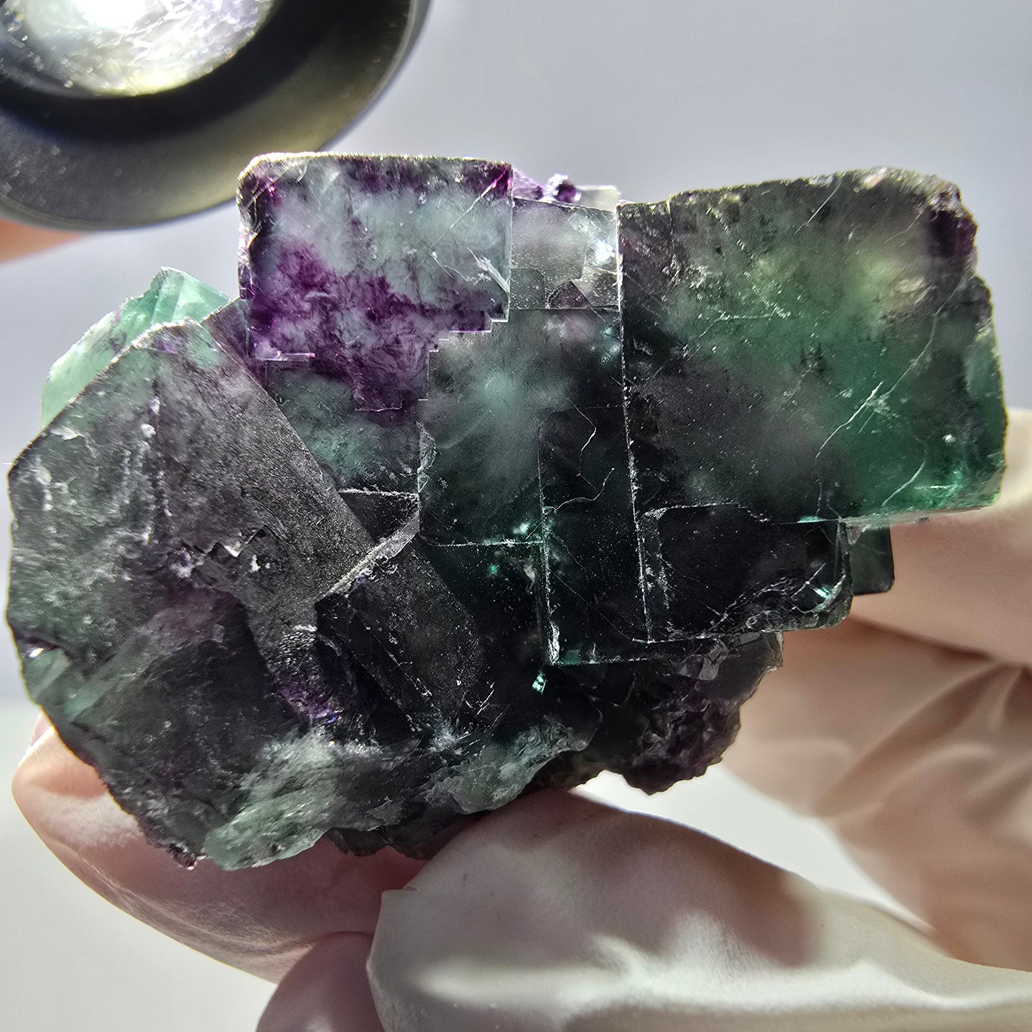 Spécimen de cube de fluorite fantôme parqueté vert violet Okorusu, Namibie 45*42*35 mm