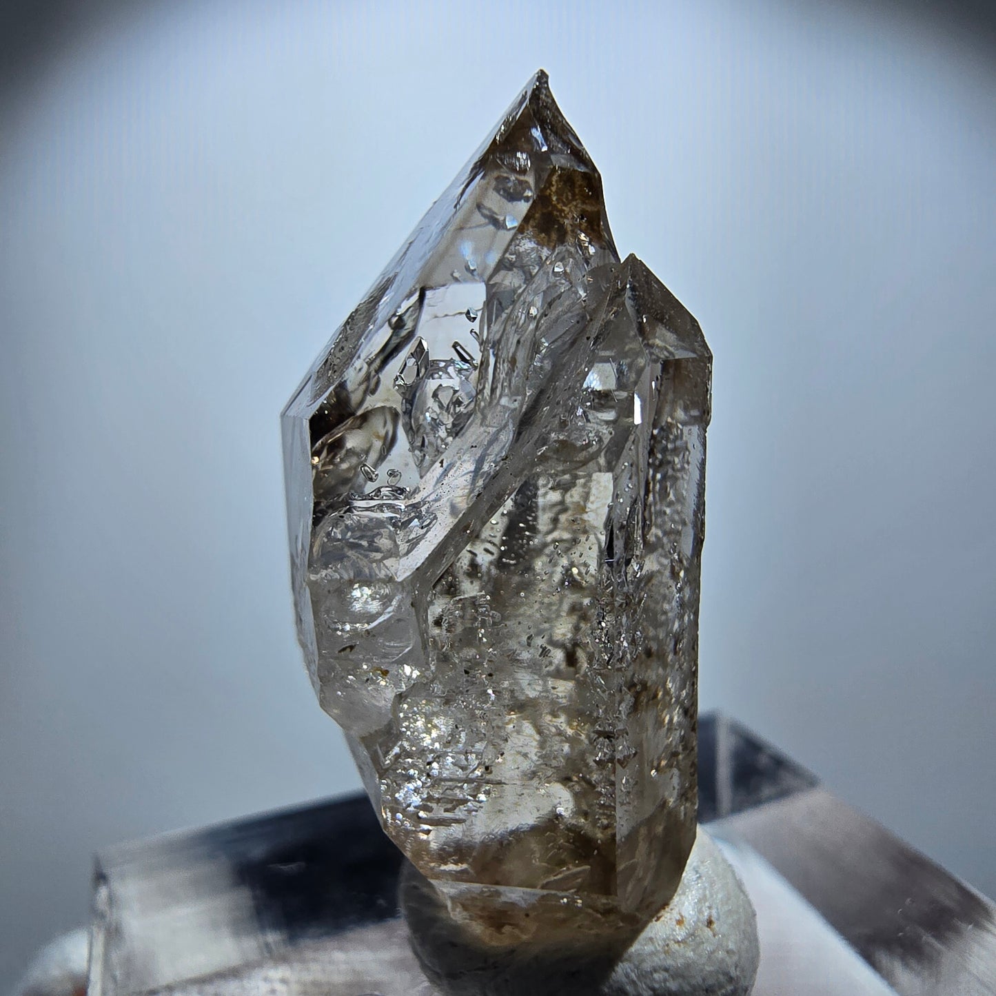 Enhydro Rauchquarz Skelett DT Zepter, 2x Blase Goboboseb, Namibia 26*13*11mm