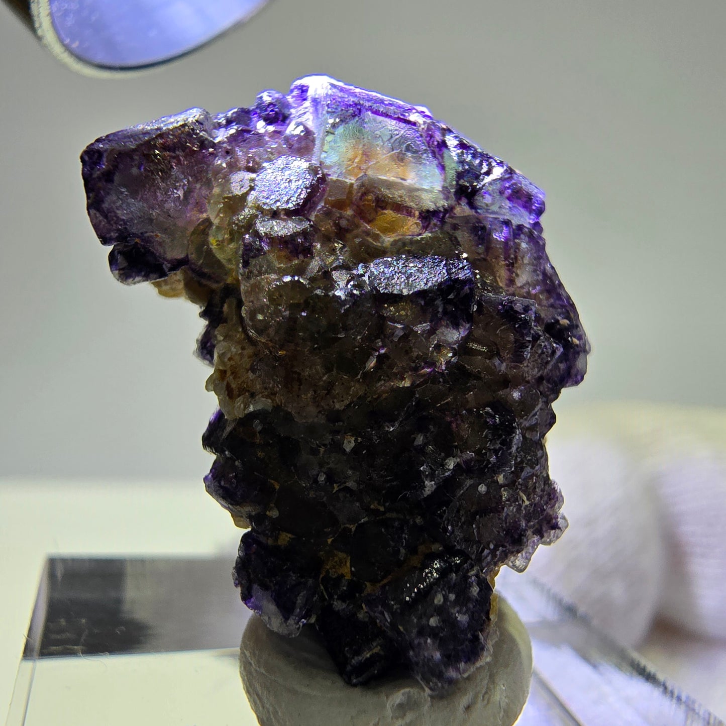 Cubes de fluorite fantôme colorés, spécimen de muscovite, Erongo, Namibie, 25 x 18 x 11 mm