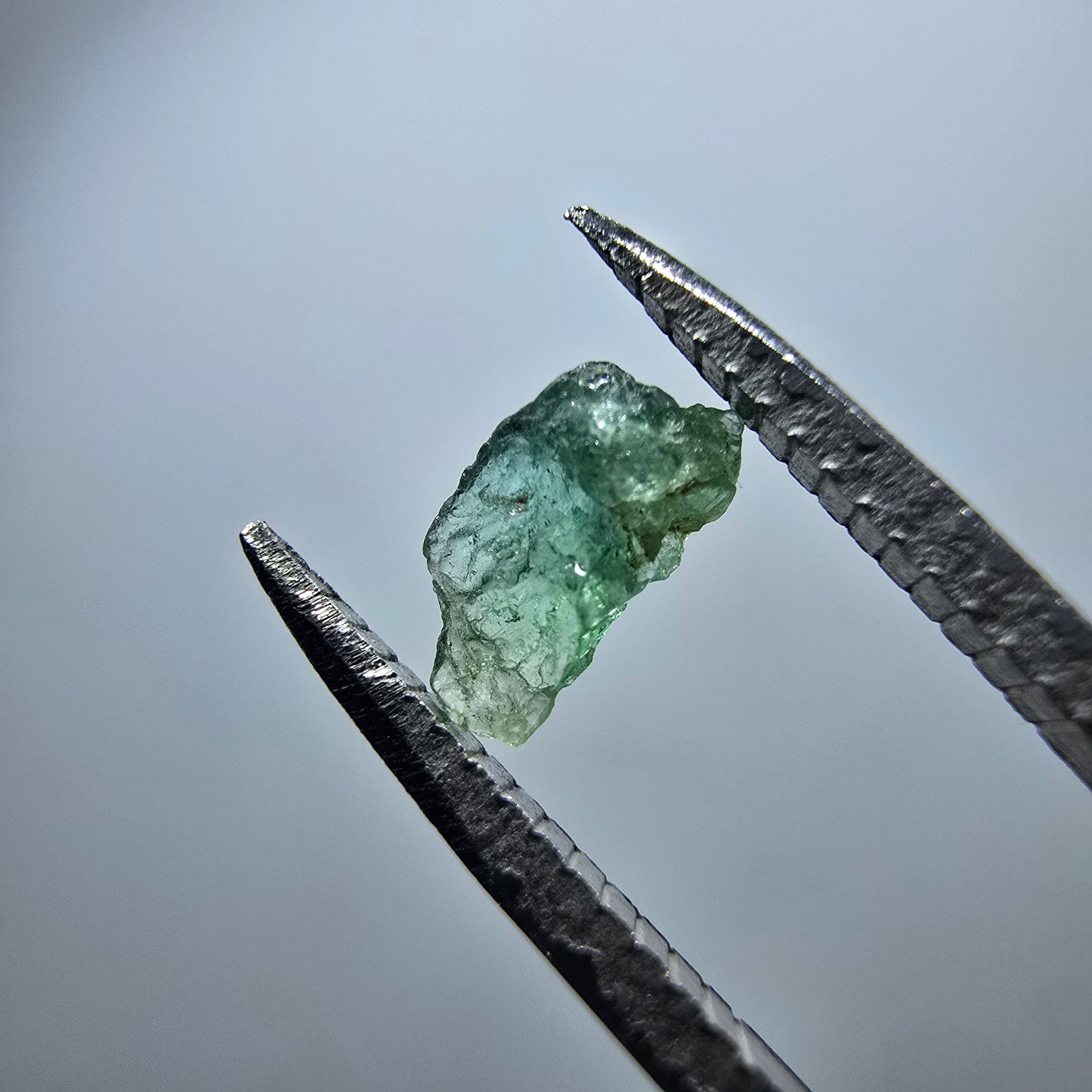 Cristal de tourmaline verdélite rare, vert Minas Gerais, Brésil #7994