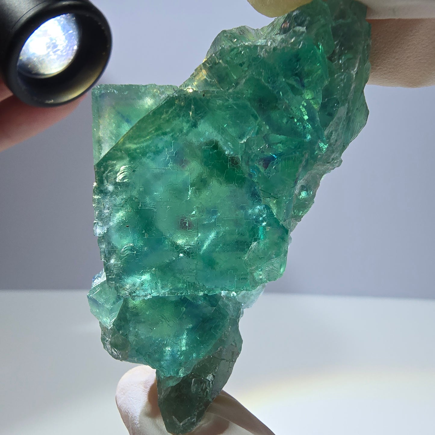 Spécimen de cube de fluorite fantôme transparente, vert parqueté, Okorusu, Namibie, 64 x 35 x 16 mm