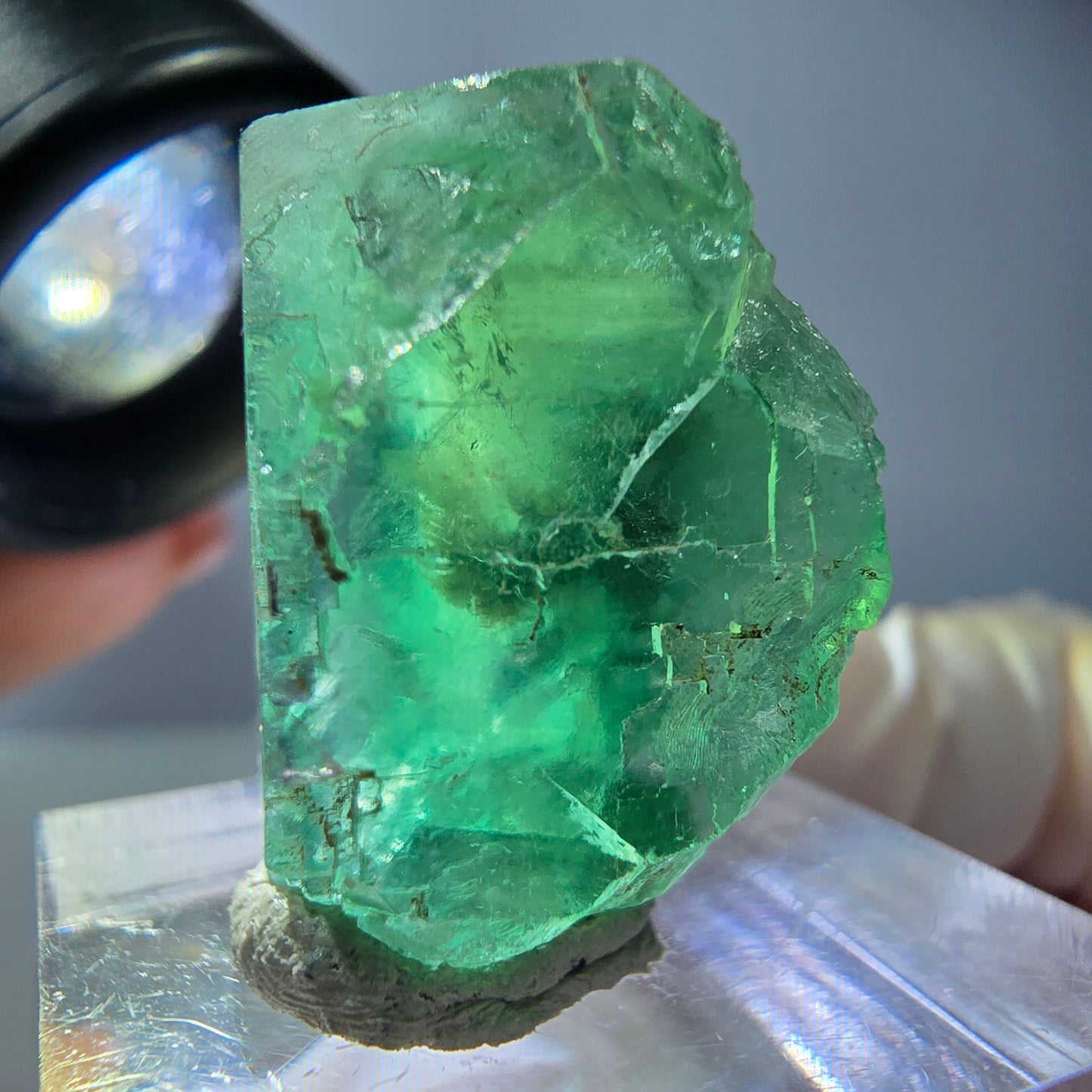 Cube de fluorite fantôme transparente parquetée, vert Okorusu, Namibie 23 x 23 x 17 mm