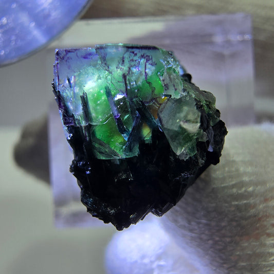 Cube de fluorite fantôme zonal, tourmaline muscovite Schörl hyalite Erongo, Namibie 21 x 15 x 15 mm