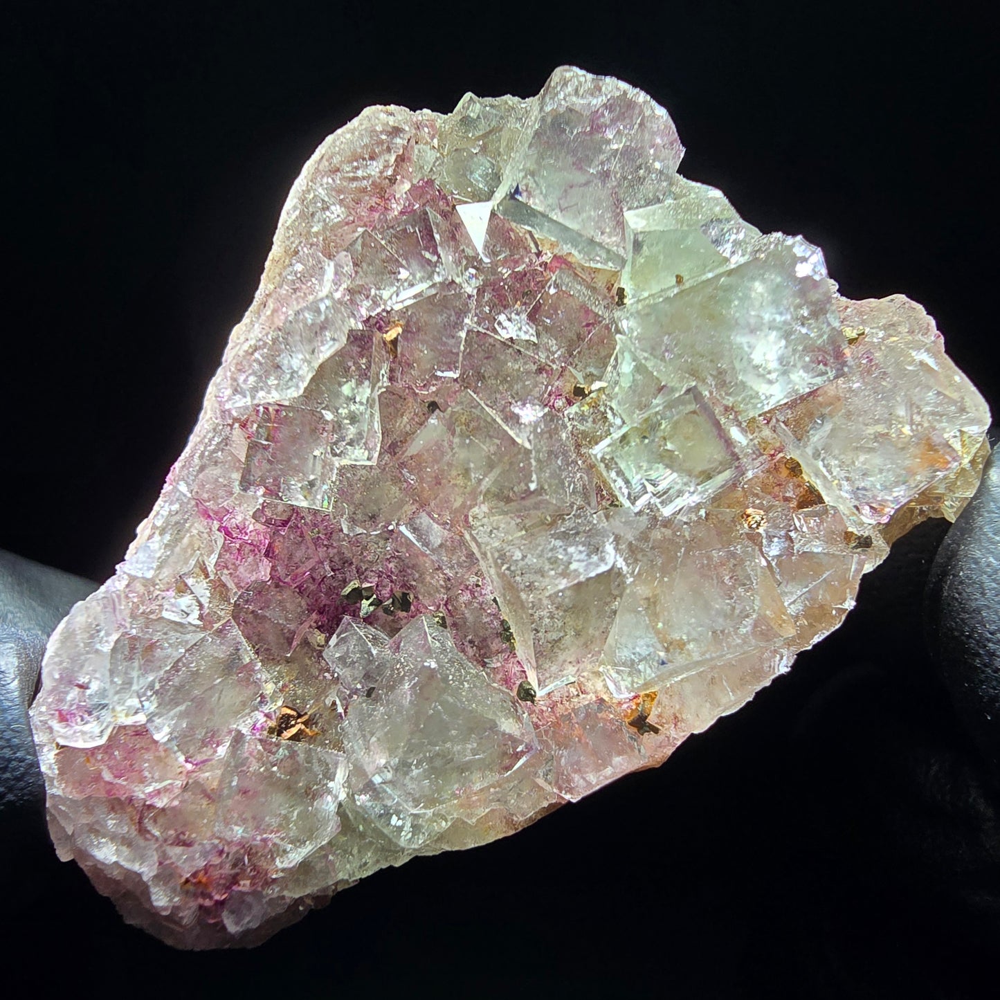 Zonare Fluorite Cube Tier Vert Violet Okorusu, Namibie 52*37*29mm Collection
