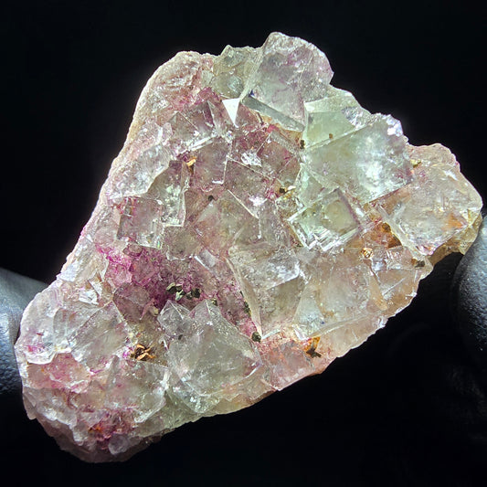 Zonare Fluorite Cube Tier Vert Violet Okorusu, Namibie 52*37*29mm Collection
