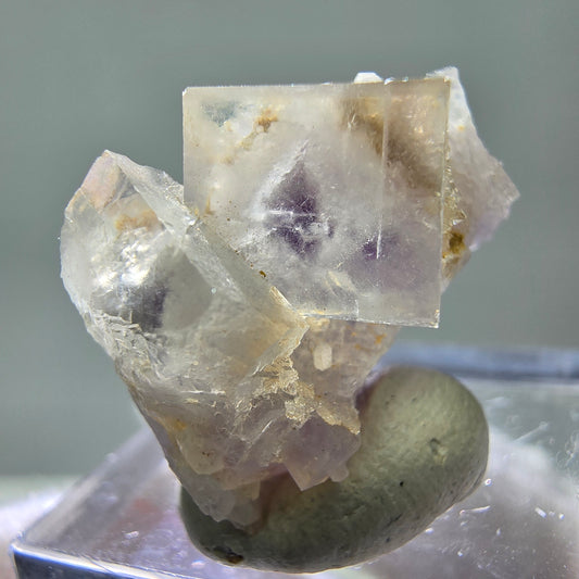 Seltene UV Phantom Fluorit Würfel, Quarz Stufe Brandberg, Namibia 23*18*13mm