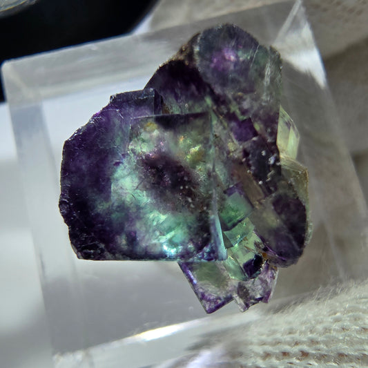 Spécimen rare de cube de fluorite fantôme, vert zonal et violet, Okorusu, Namibie, 17 x 14 x 15 mm
