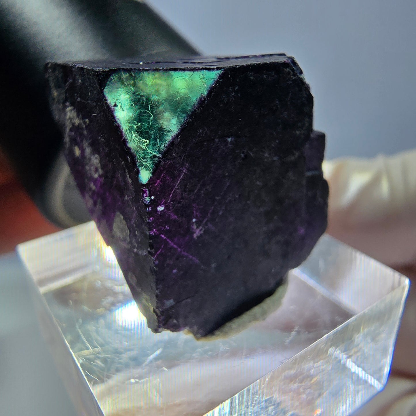 Phantom Fluorit Würfel Stufe grün lila zonal 11:11 Angel Pocket, Namibia 20*19*19mm