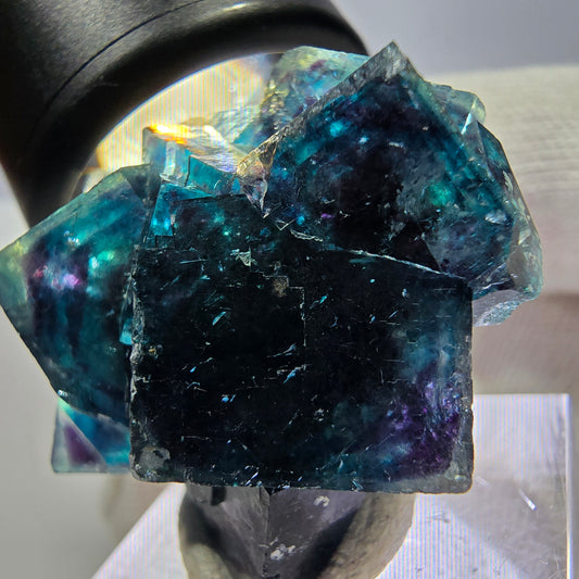Spécimen de cube de fluorite fantôme, zonal – Nouvelle découverte ! Okorusu, Namibie, 36 x 28 x 18 mm