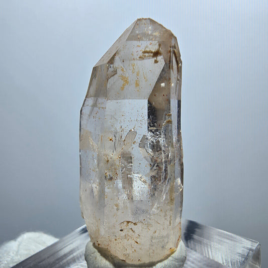 Enhydro Phantom Rauchquarz Zepter, 1x Blase Goboboseb, Namibia 33*17*11mm