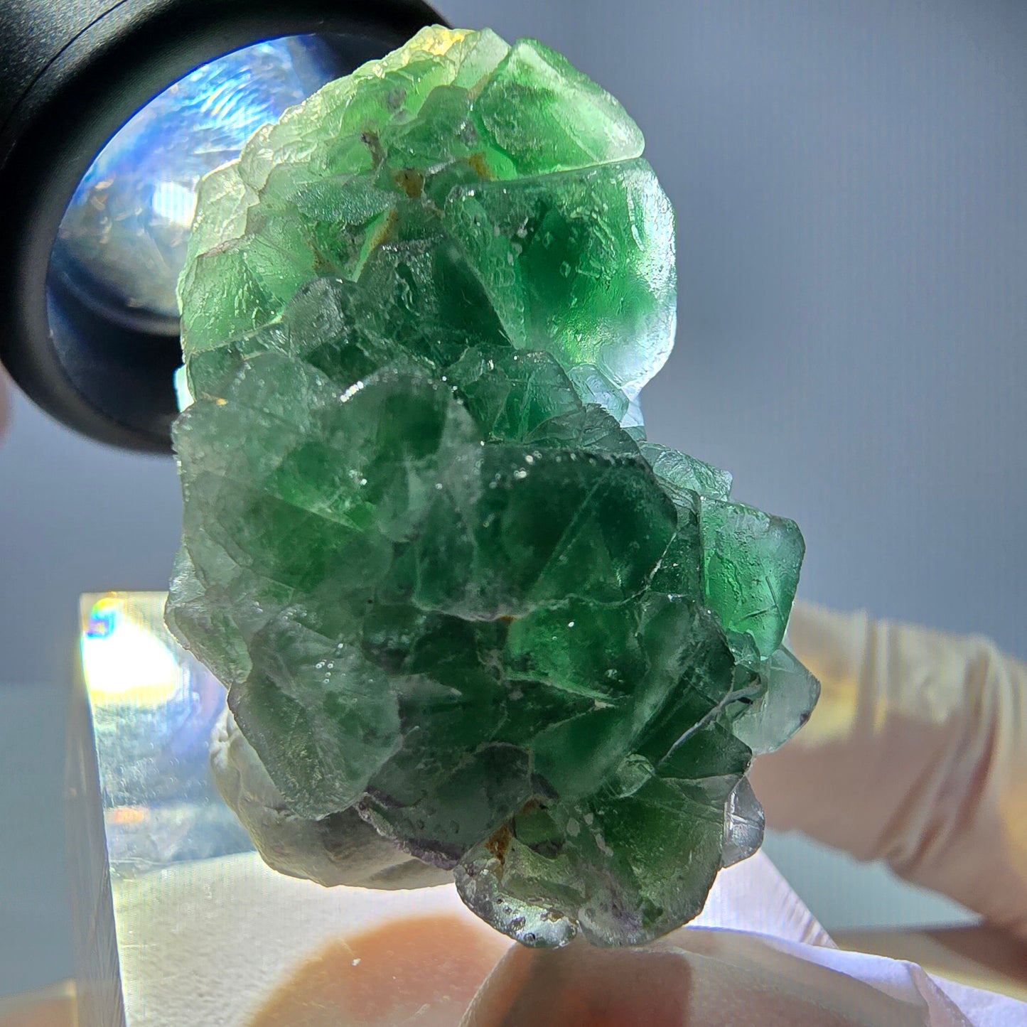 Cube de fluorite fantôme, tourmaline Schorl, Erongo, Namibie, 35 x 23 x 23 mm