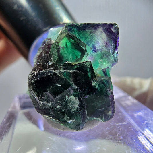 Seltene Fluorit Würfel Stufe, grün lila Okorusu, Namibia 21*16*15mm