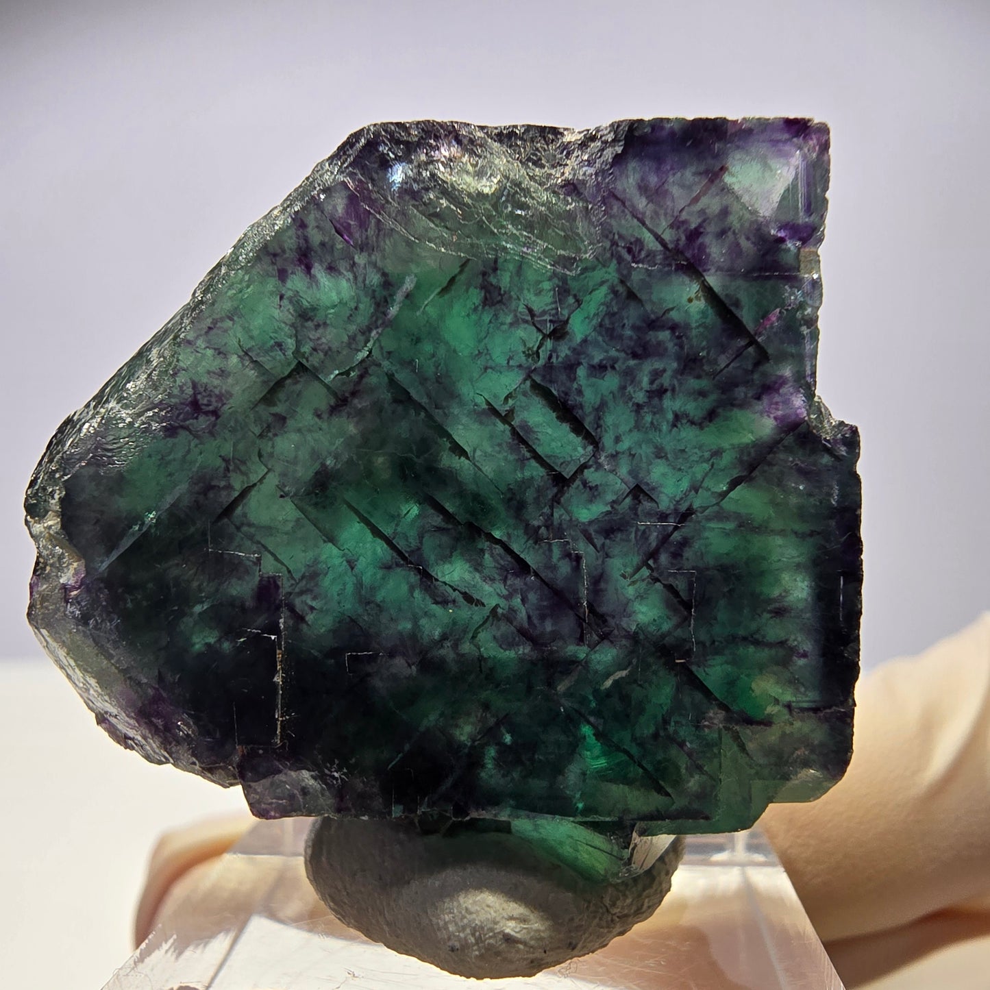 Rare cube de fluorite fantôme parqueté vert violet Okorusu Namibie 35*33*14mm
