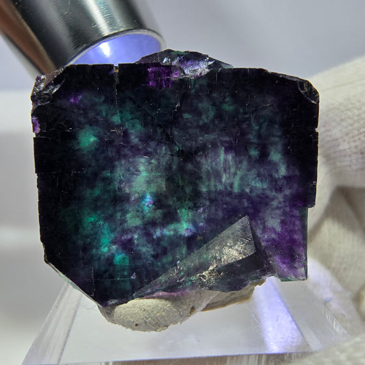 Spécimen rare de cube de fluorite fantôme, vert zonal et violet, Okorusu, Namibie, 34 x 33 x 19 mm
