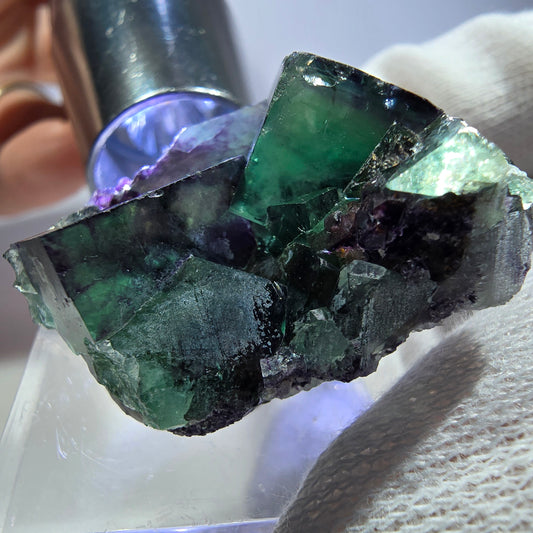 Spécimen rare de cube de fluorite fantôme, vert zonal et violet, Okorusu, Namibie, 34 x 25 x 18 mm