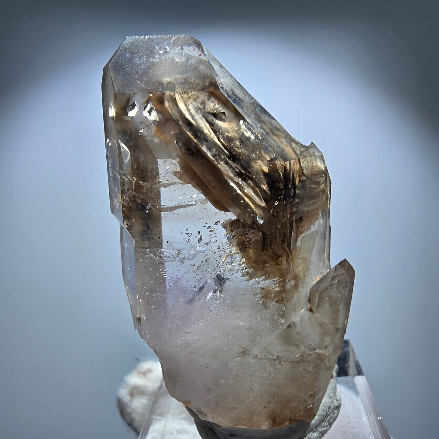 Phantom Rauchquarz Skelett Zepter Stufe Goboboseb, Namibia 45*28*15mm