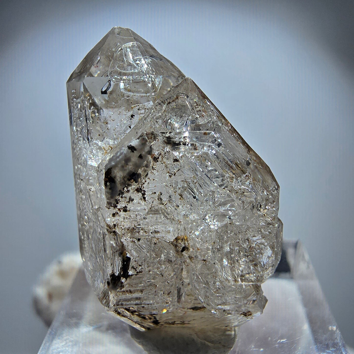 Enhydro Rauchquarz Skelett DT Zepter, 2x Blase Goboboseb, Namibia 29*18*12mm