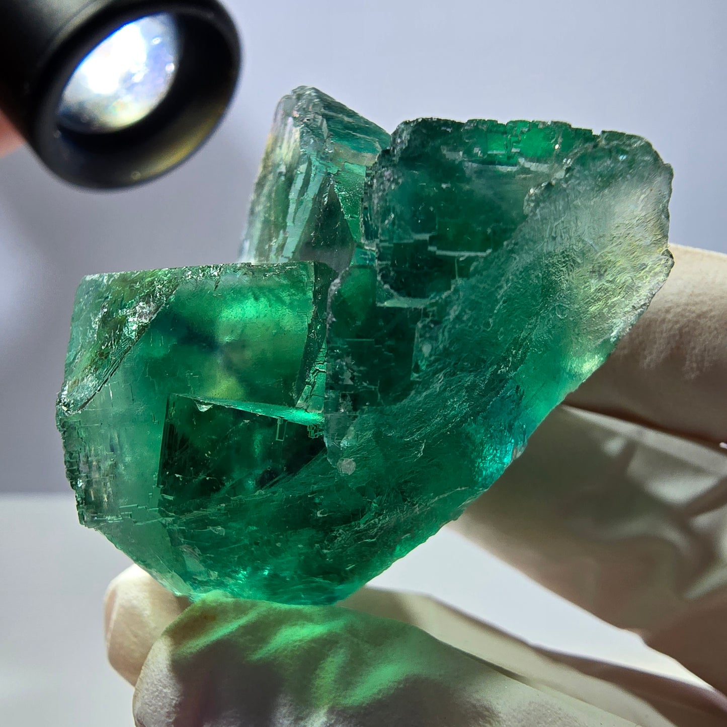 Spécimen de cube de fluorite fantôme transparente, vert parqueté, Okorusu, Namibie, 55 x 41 x 26 mm