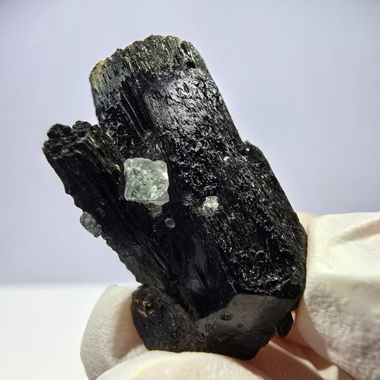 Rare spécimen de tourmaline Schorl et de fluorite cubique, Erongo, Namibie, 32 x 21 x 14 mm