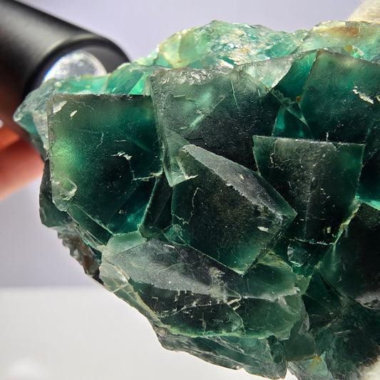 Rare spécimen de cube de fluorite fantôme, parqueté vert Okorusu, Namibie, 82 x 41 x 23 mm