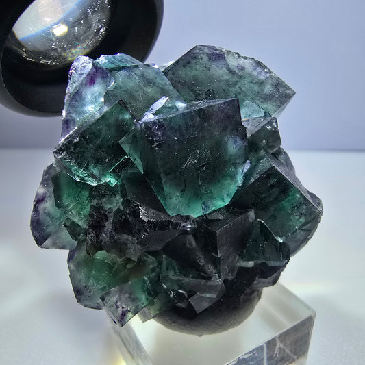 Spécimen rare de cube de fluorite fantôme, vert zonal et violet, Okorusu, Namibie, 50 x 46 x 26 mm