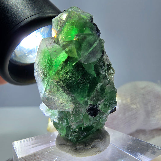 Phantom Fluorit, Schörl Turmalin, Muskovit Stufe Erongo, Namibia 35*20*20mm