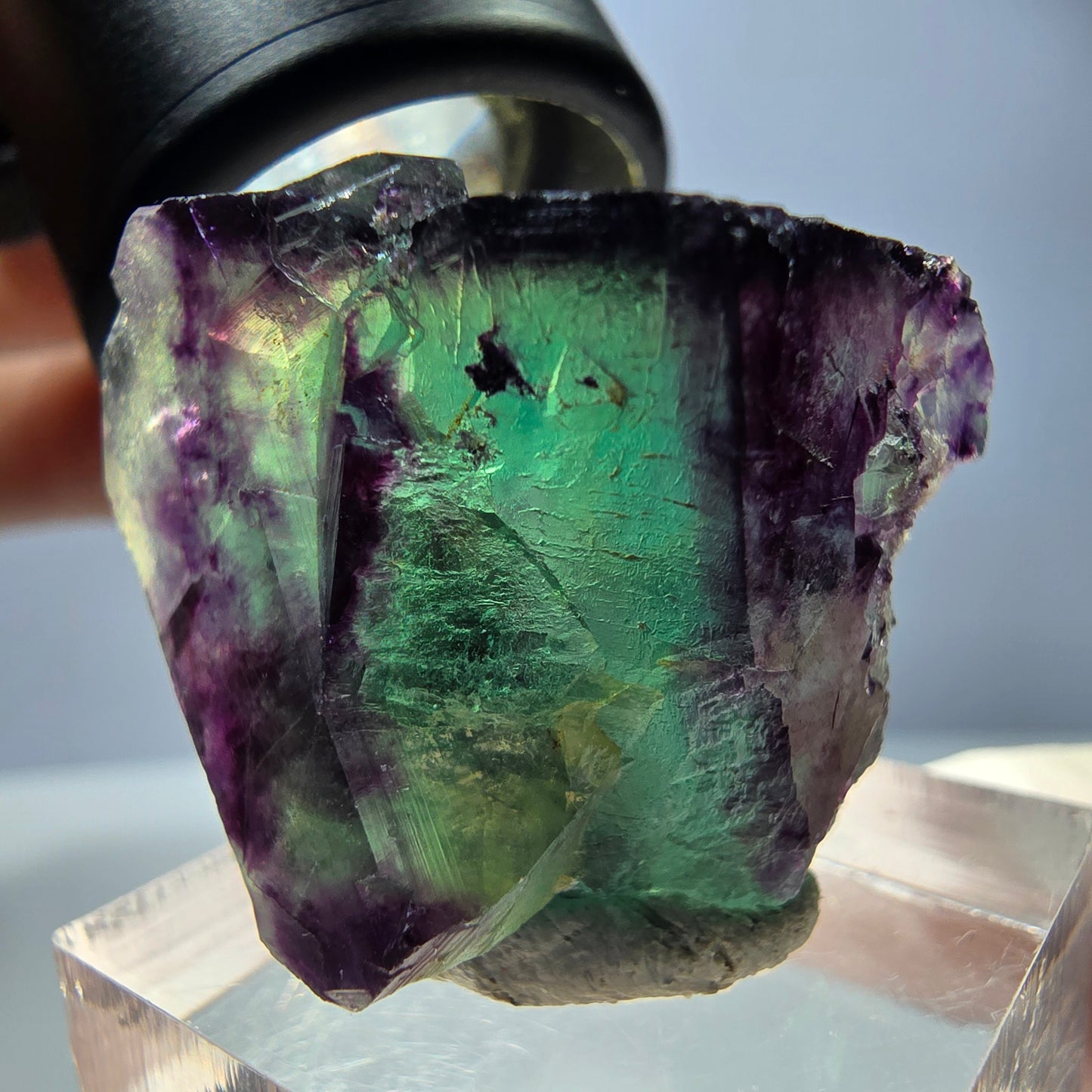 Spécimen de cube de fluorite fantôme, parqueté vert violet Okorusu, Namibie 31*22*16 mm
