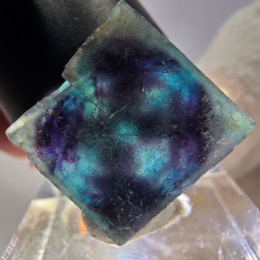 Spécimen de cube de fluorite fantôme, zonal – Nouvelle découverte ! Okorusu, Namibie, 24 x 23 x 12 mm