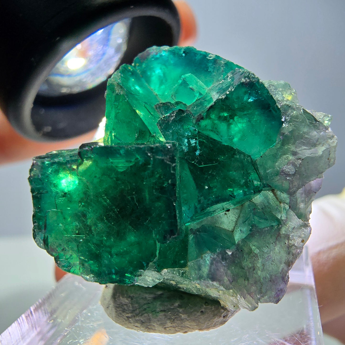 Phantom Fluorit Würfel Stufe, grün parkettiert Okorusu, Namibia 27*27*17mm