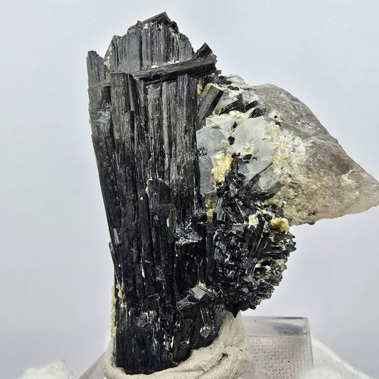 Seltene Schörl Turmalin, Rauchquarz Stufe Erongo, Namibia 47*36*23mm Sammlung