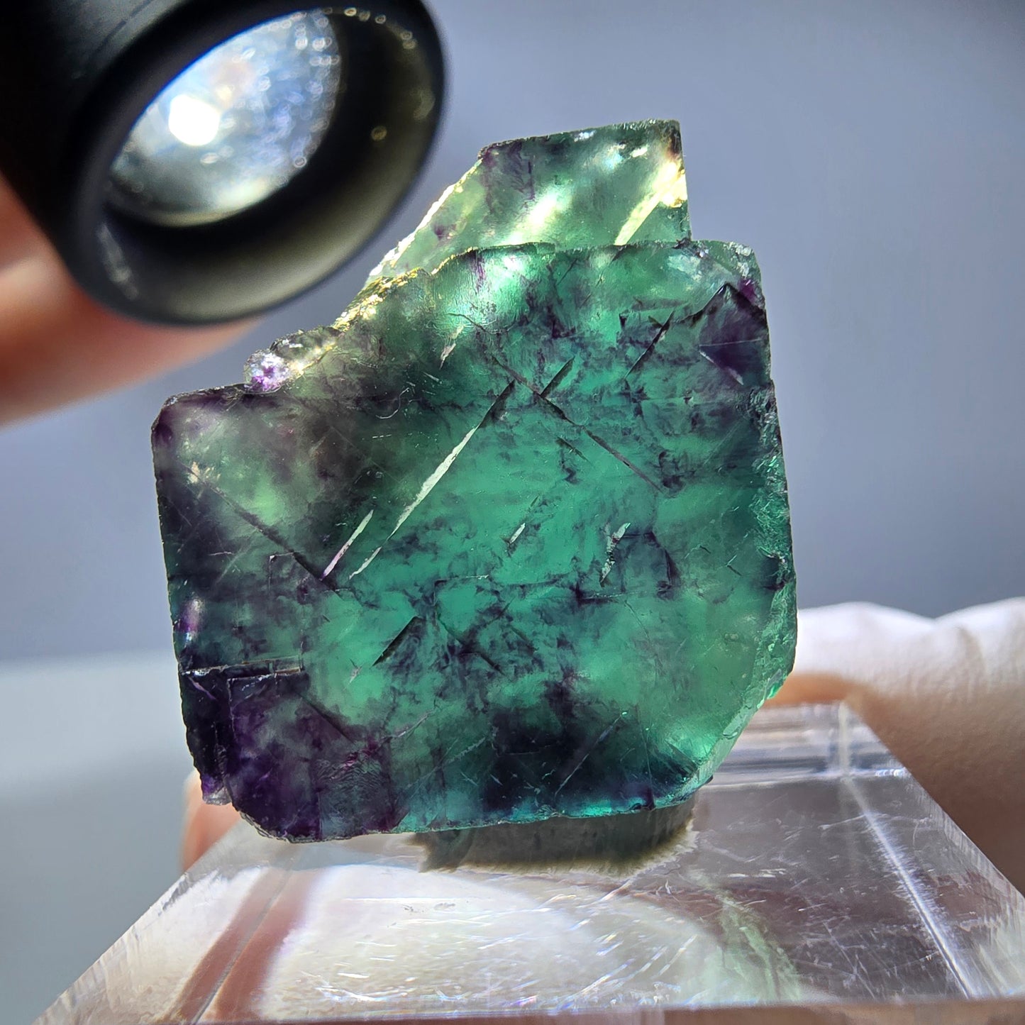 Rare cube de fluorite fantôme parqueté vert violet Okorusu Namibie 25*21*11mm