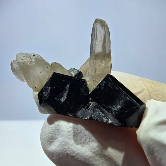 Tourmaline Schorl symétrique, spécimen de quartz fumé, Erongo, Namibie, 33 x 21 x 23 mm