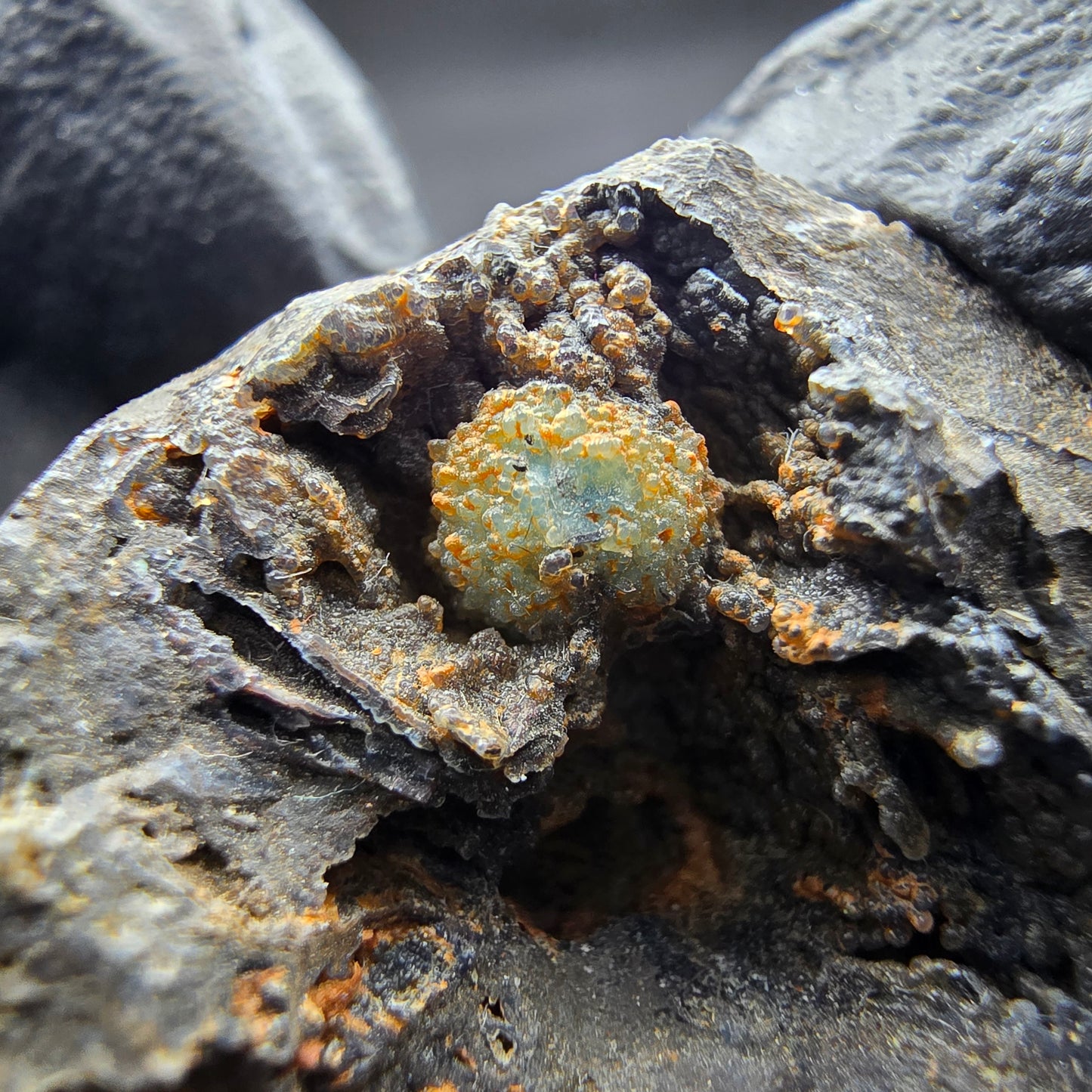 Seltene Shattuckit Stufe blau, Kugel Kristalle Kaokoveld, Namibia 39*27*20mm