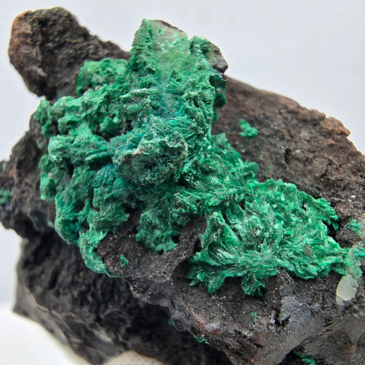 Seltene Malachit auf Matrix Stufe Kaokoveld, Namibia 52*43*22mm Sammlung