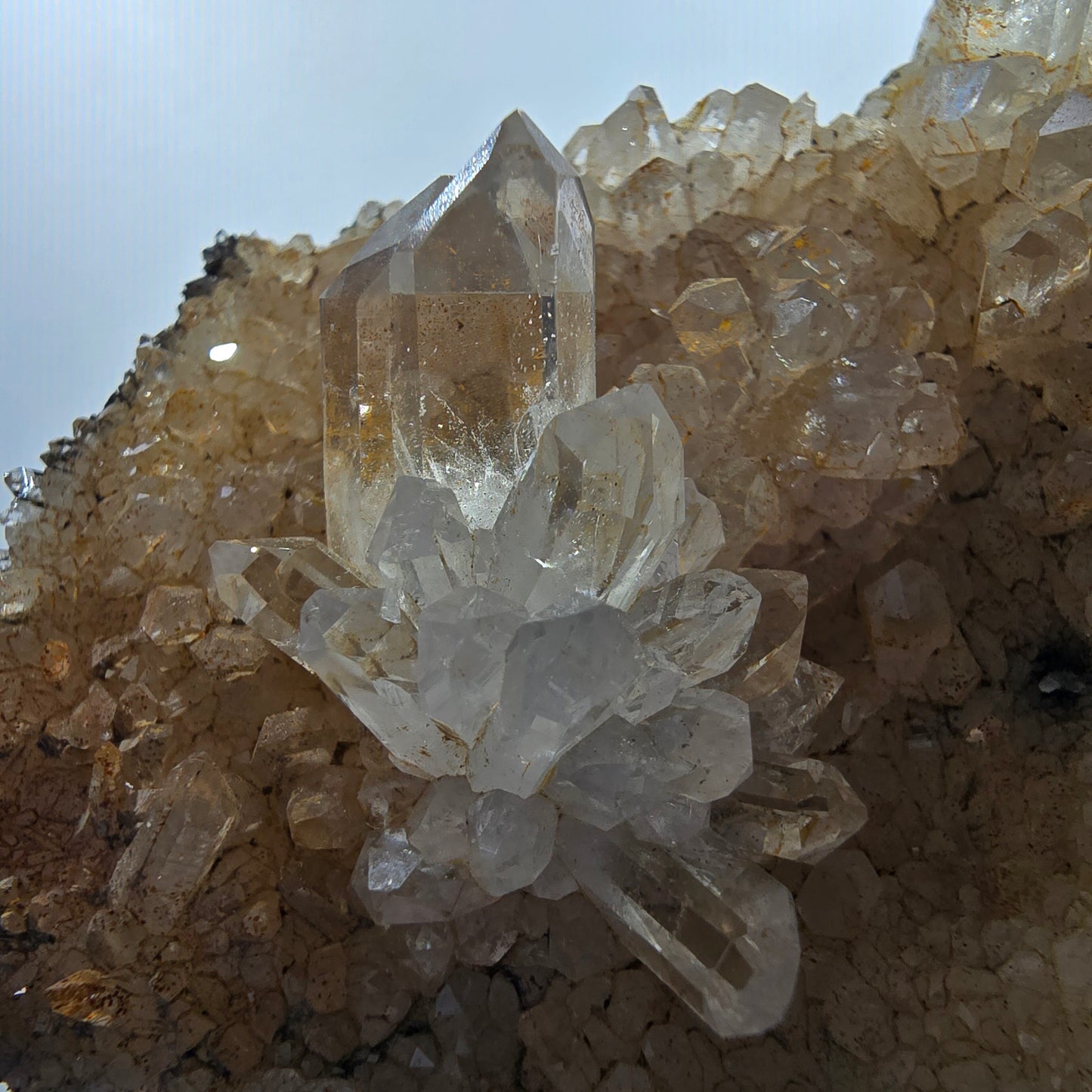 Clear smoky quartz points on matrix specimen Valentine Pocket Goboboseb Namibia 75*57*25mm