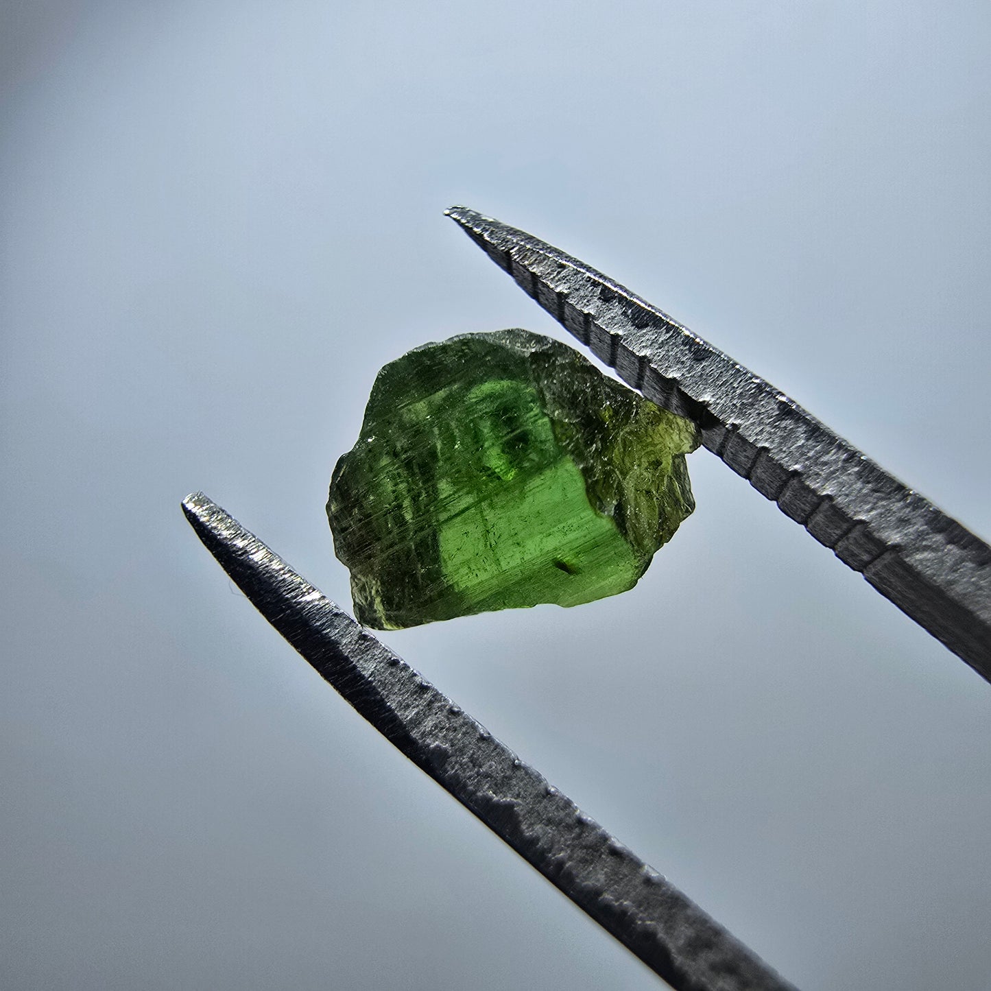 Cristal de tourmaline verdélite rare, vert Minas Gerais, Brésil #7985